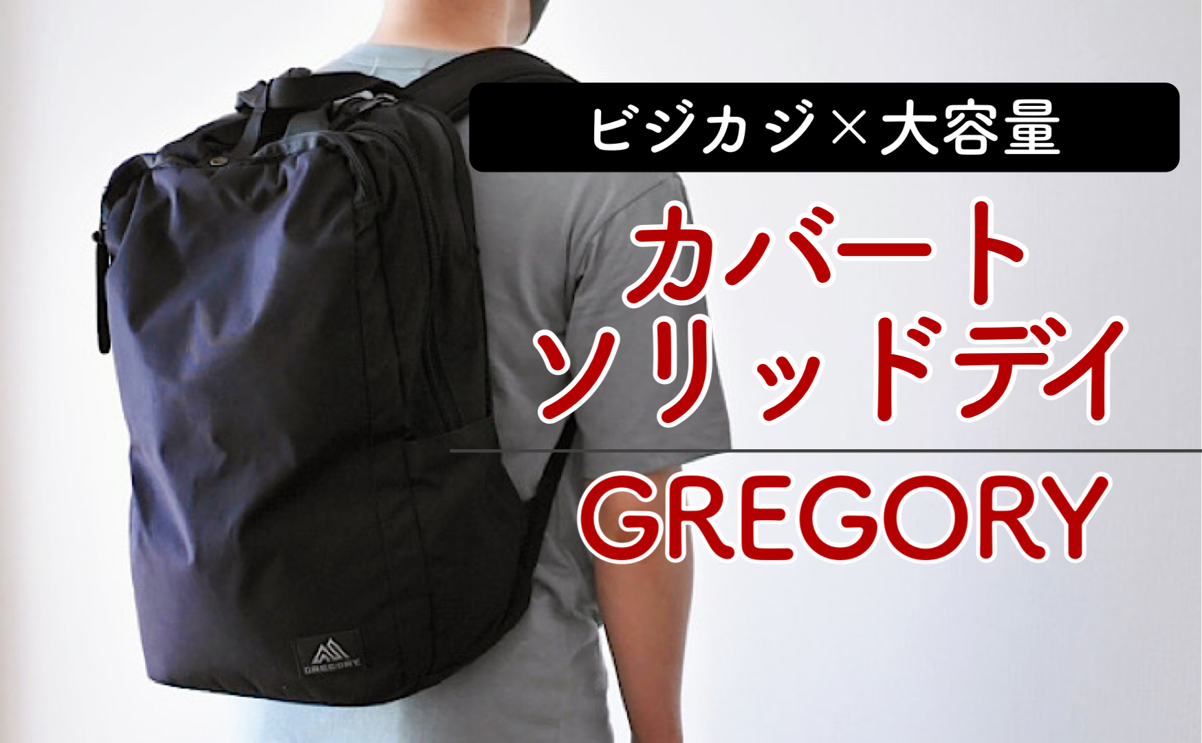 GREGORY グレゴリー カバートソリッドデイ ポップブラック - リュック