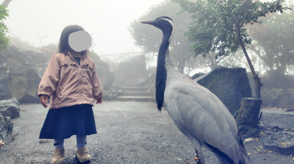 伊豆シャボテン公園で鳥触れ合う子供