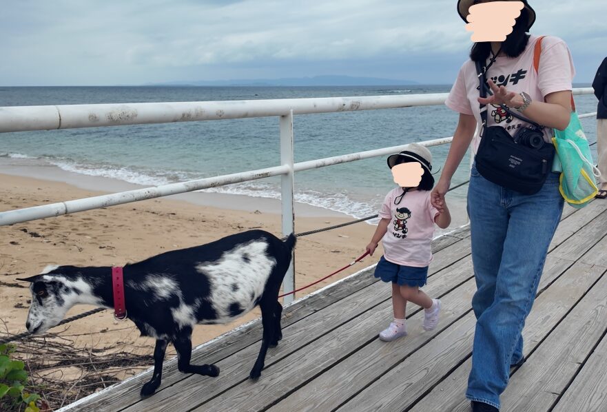 フサキビーチリゾート　アクティビティ　ヤギと散歩