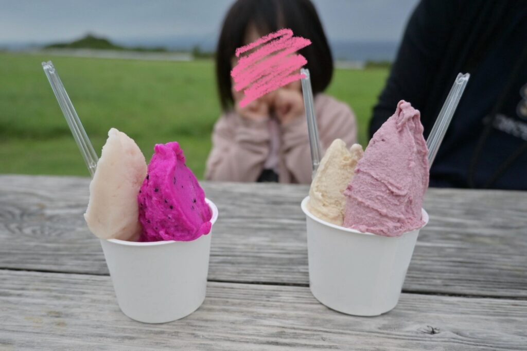 石垣島　ミルミル本舗のアイスクリーム