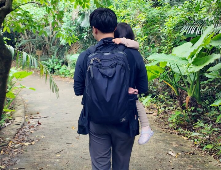 グレゴリー　カバートソリッドデイ