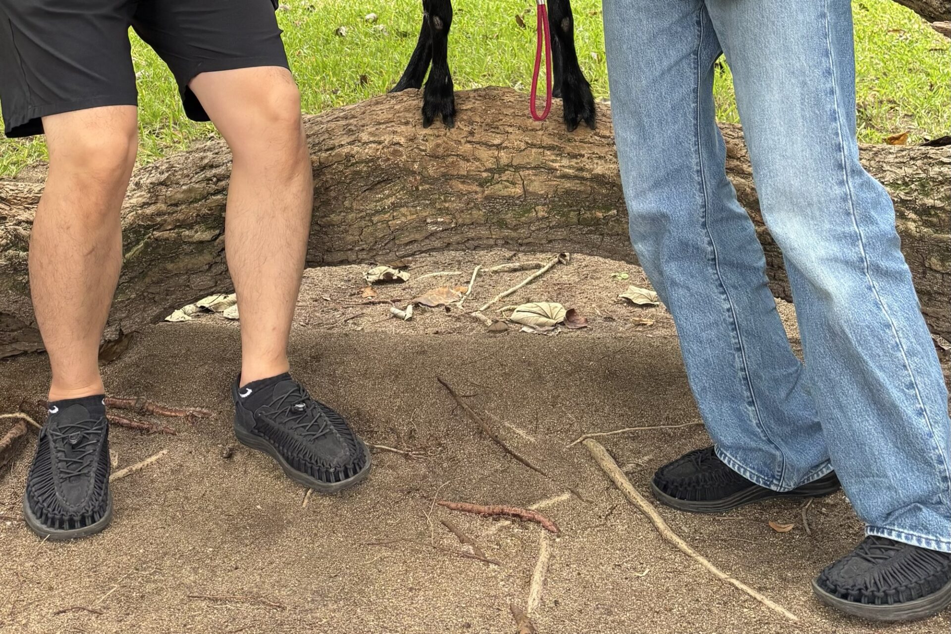 KEEN　UNEEKは旅行におすすめ
