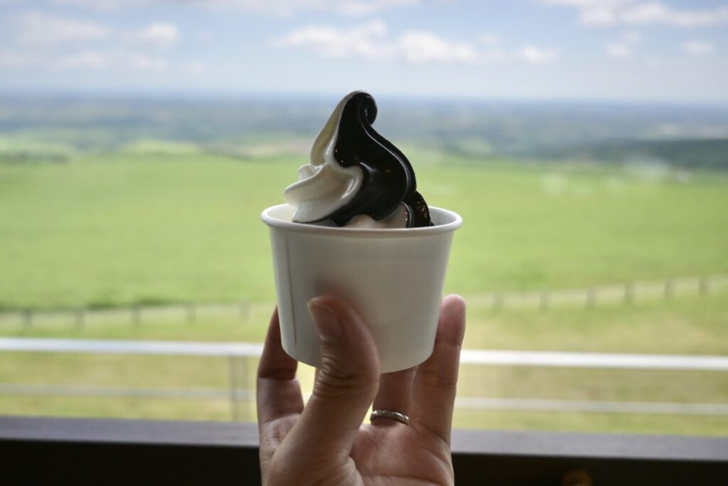ナイタイテラスのソフトクリーム
