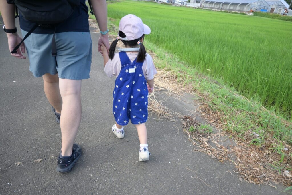 湘南藤沢 収穫体験への道のり