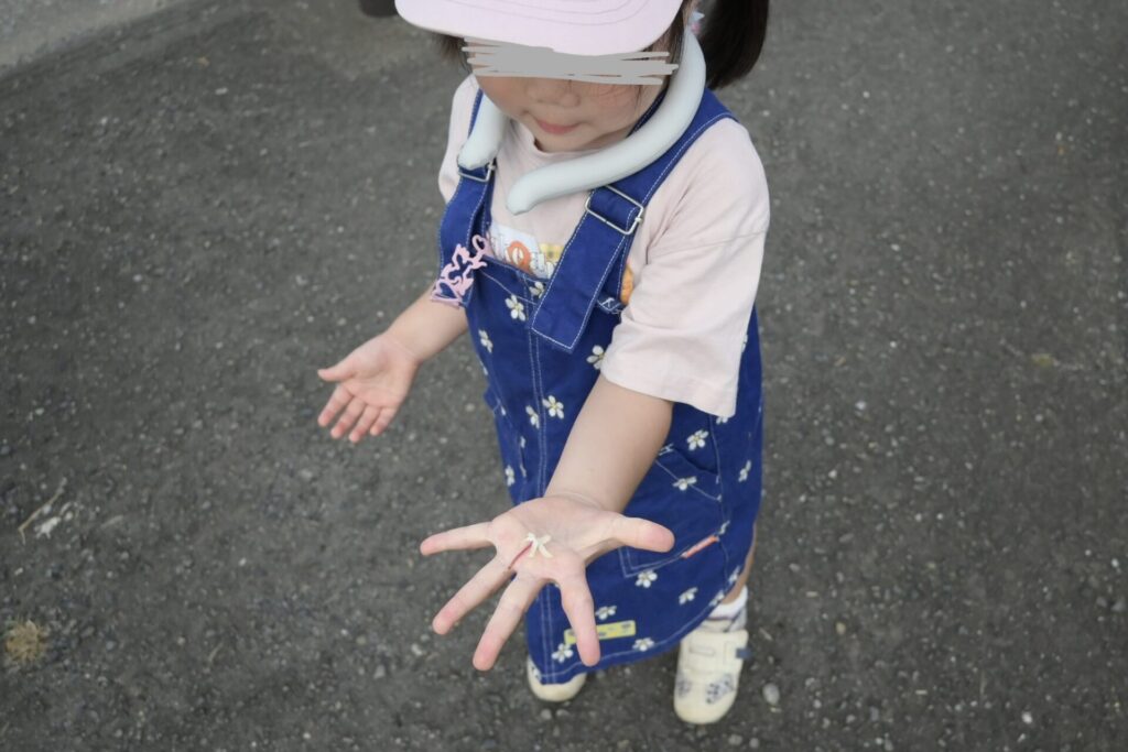 湘南藤沢 収穫体験への道のり