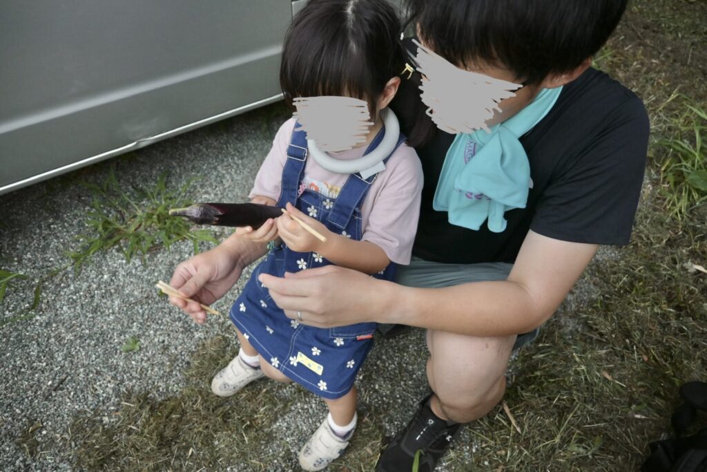 湘南食べまな便 収穫体験後のお盆体験